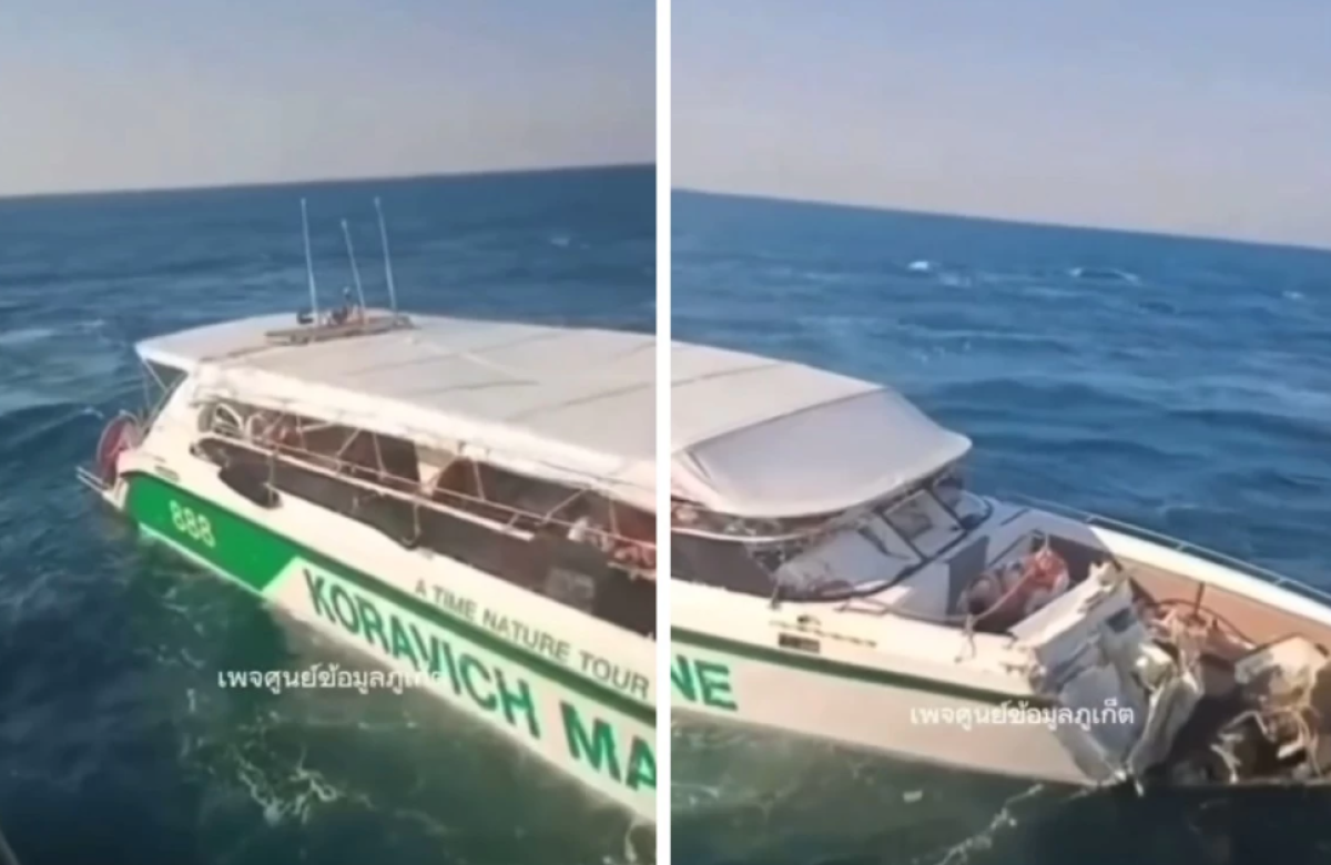 Фото: видеодан скрин