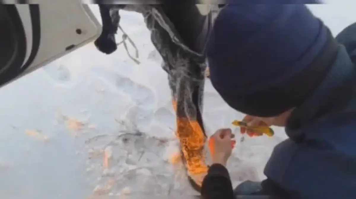 Фото: polisia.kz