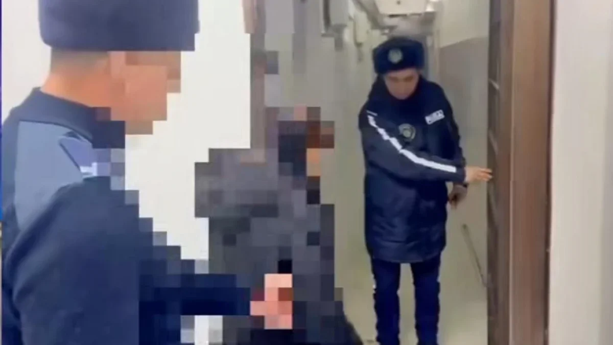 Фото: видеодан скриншот