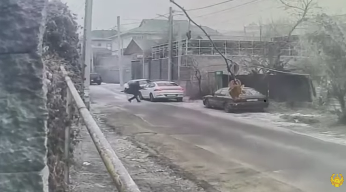 Фото: видеодан скриншот