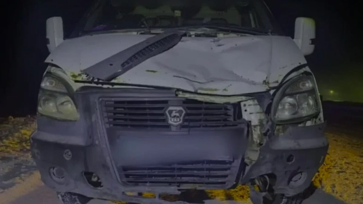 Фото: Павлодар облысы ПД