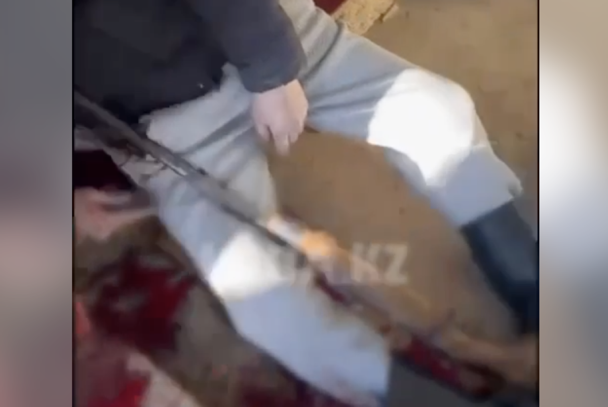 Фото: Видеодан алынған кадр