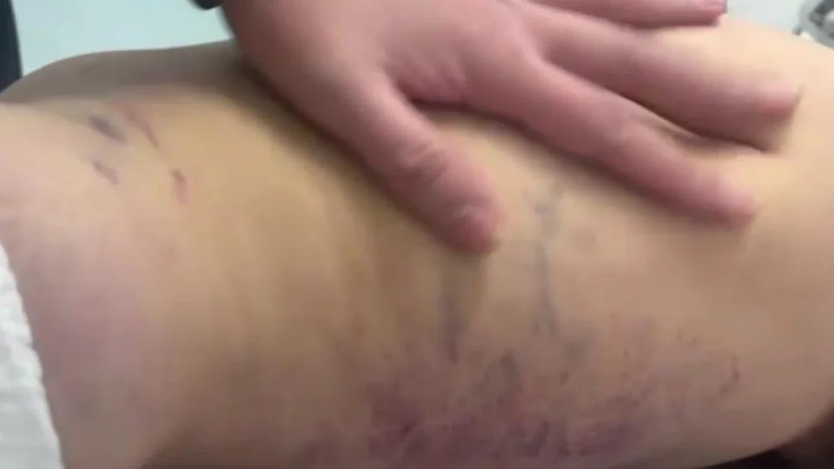 Фото: видеодан скриншот