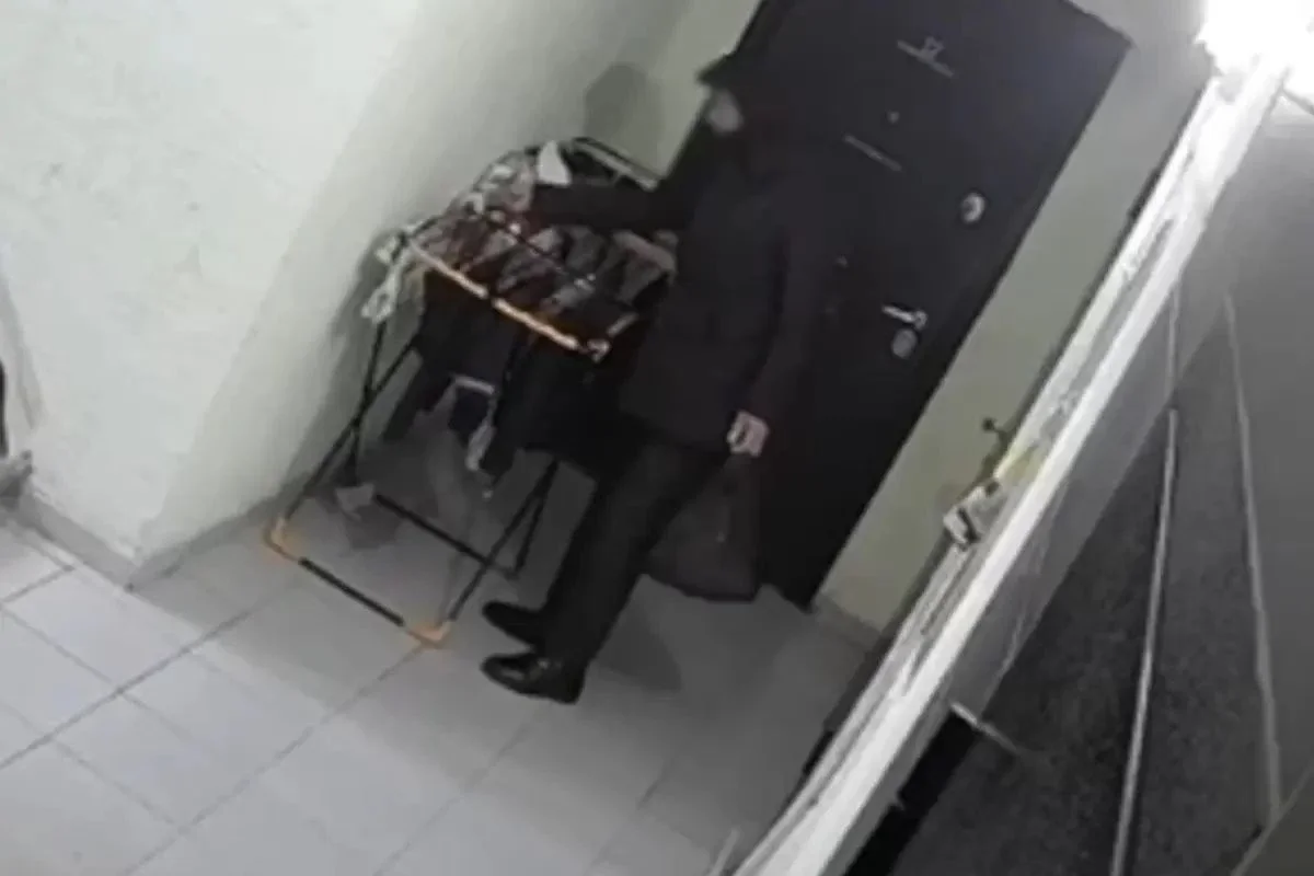 Фото: видеодан скриншот