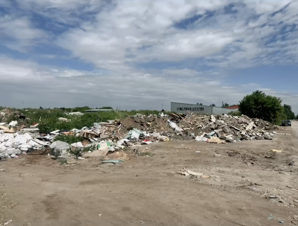 Фото: видео скриншот