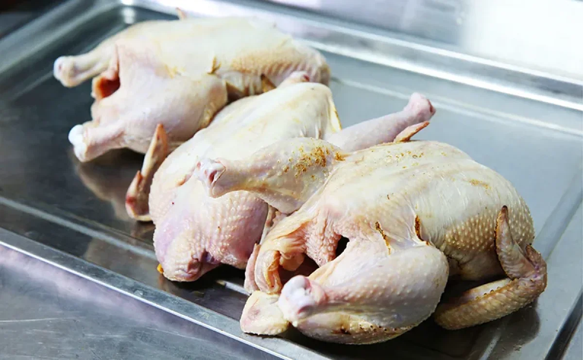 Фото: svpressa.ru