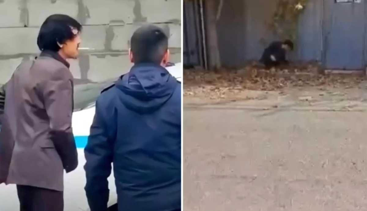 Фото: видеодан скрин