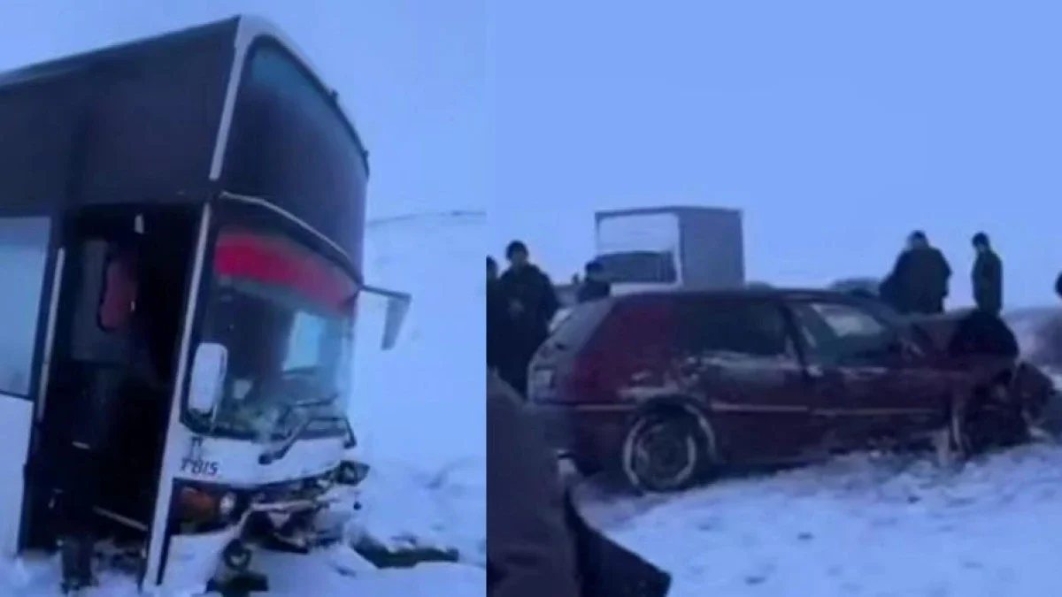 Фото: видеодан скриншот