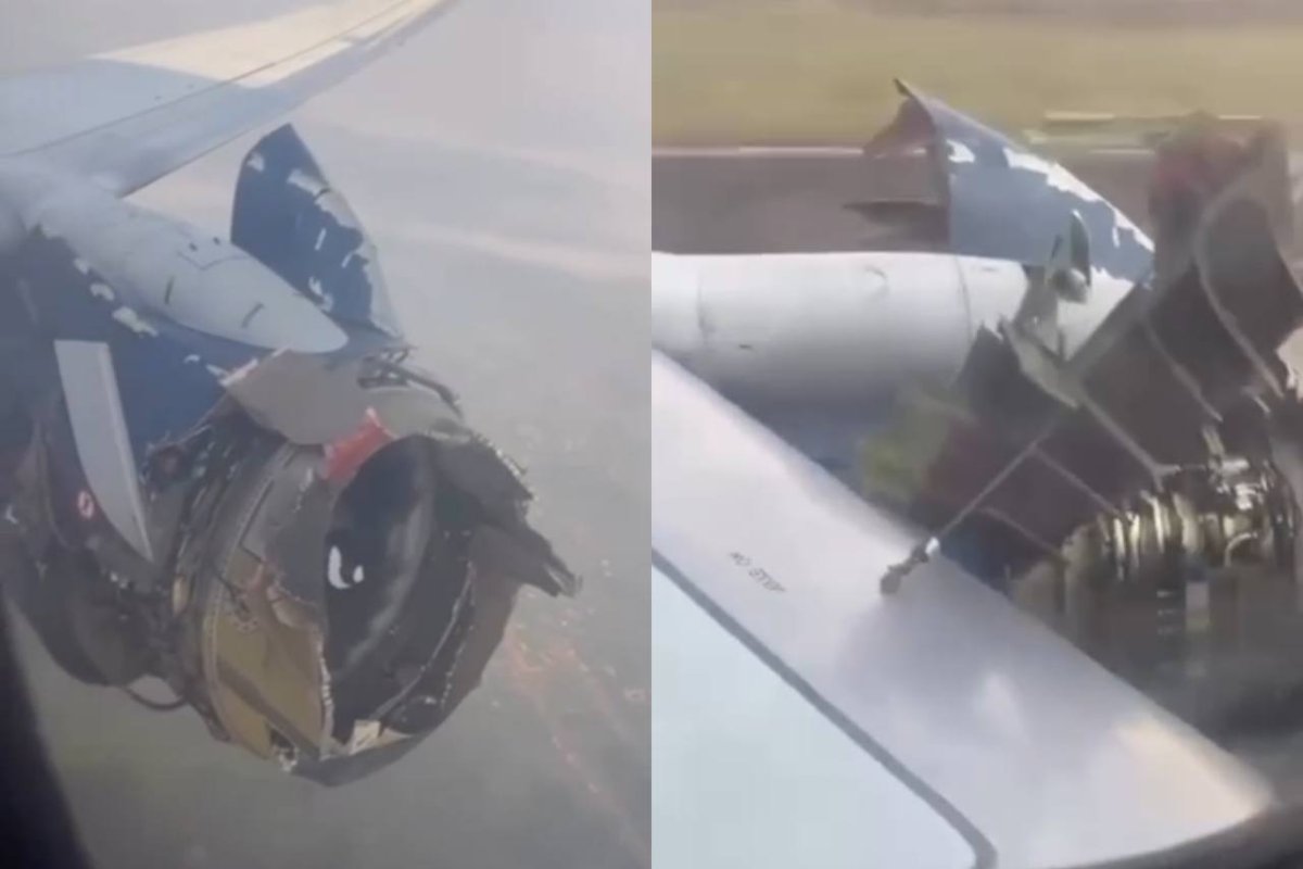 Фото: видеодан скрин