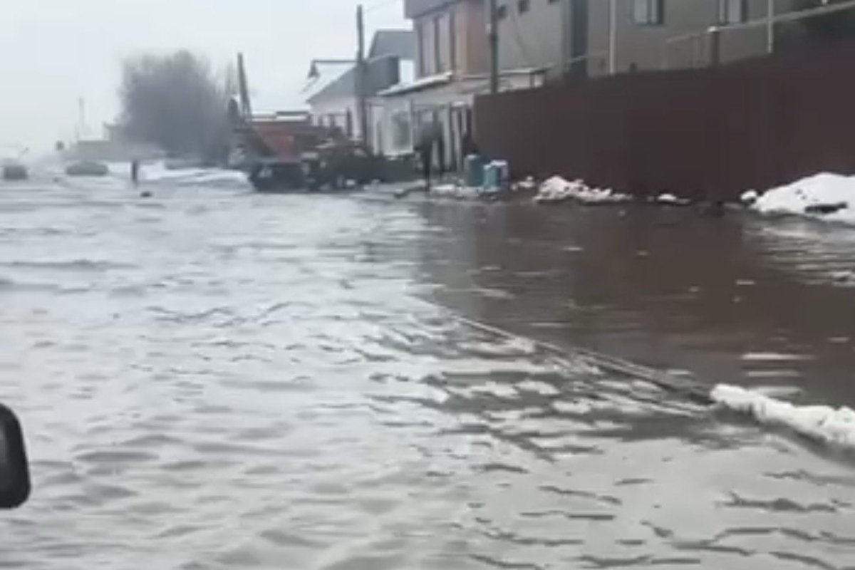 Фото: видеодан скрин