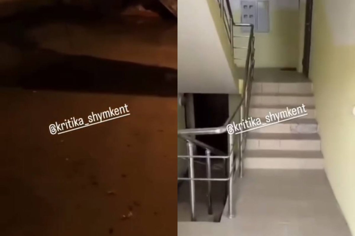 Фото: видеодан скрин