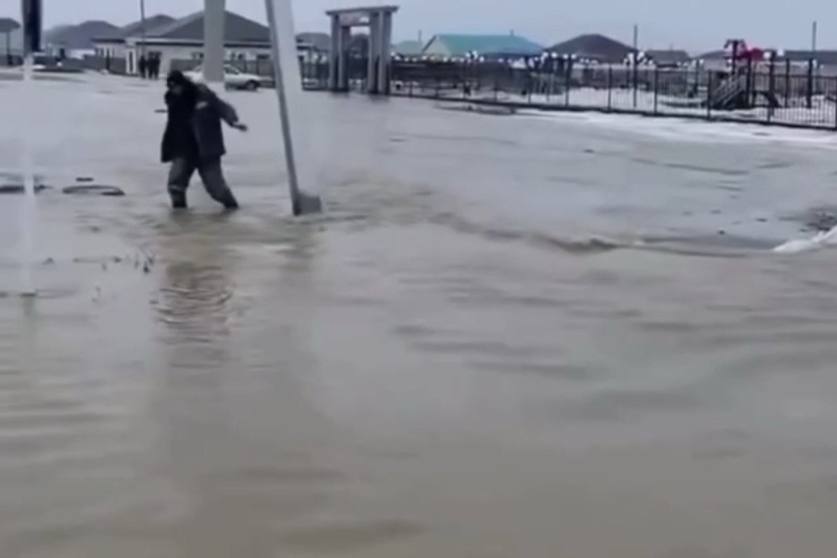 Фото: видеодан скрин