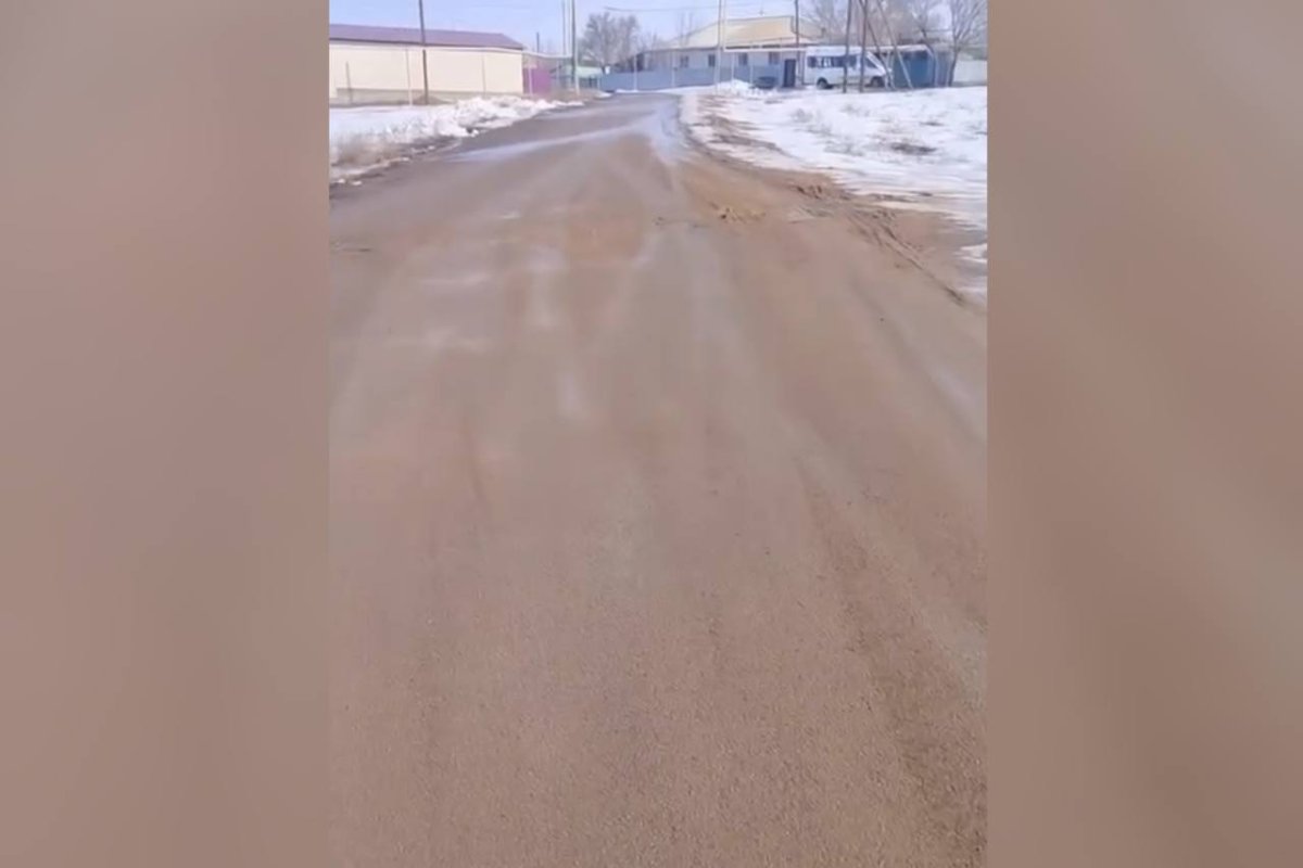 Фото: видеодан скрин