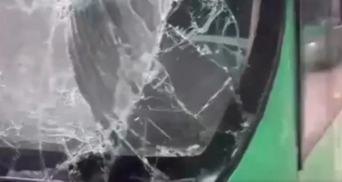 Фото: видеодан скрин