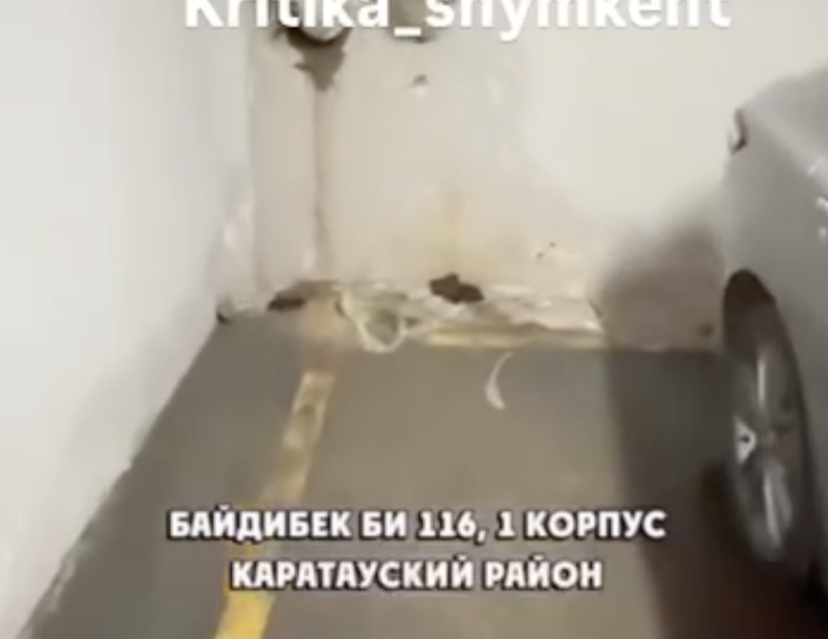 Фото: видео скриншот