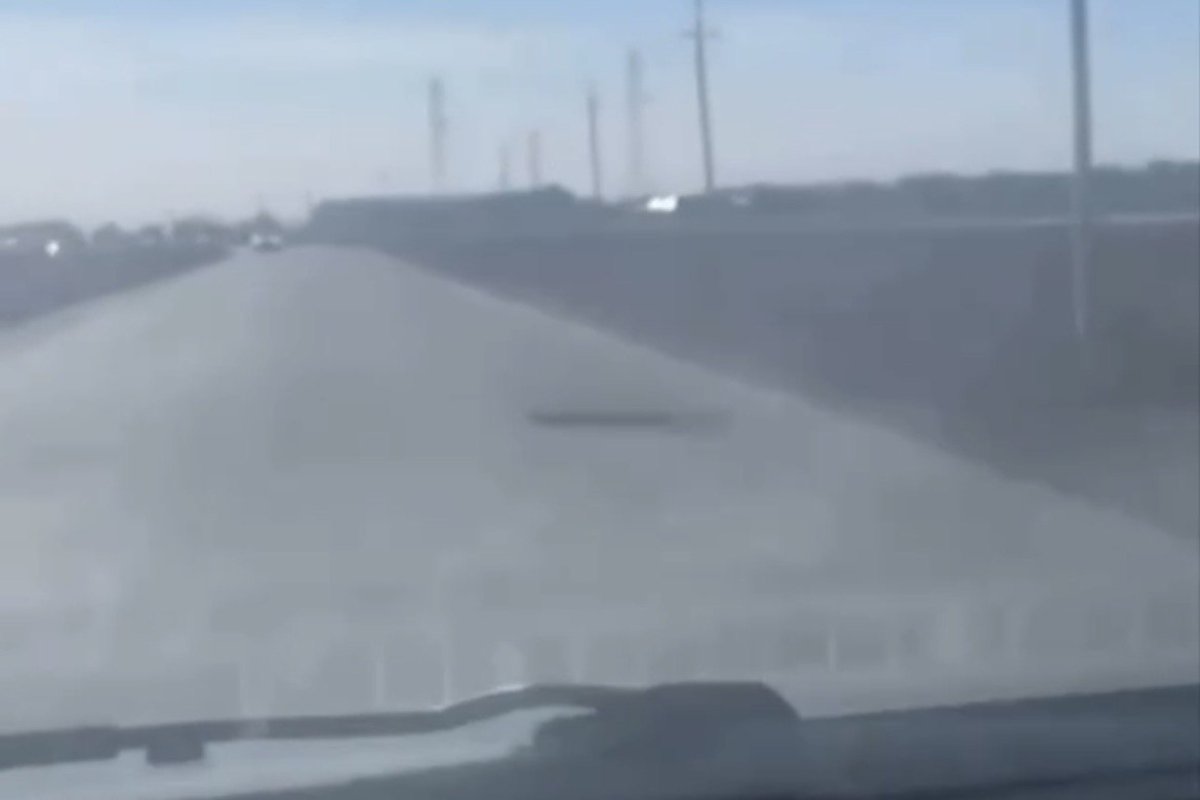 Фото: видеодан скрин