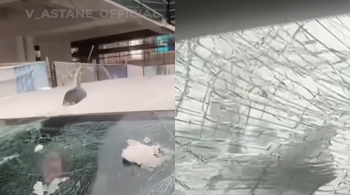 Фото: Видеодан алынған кадр