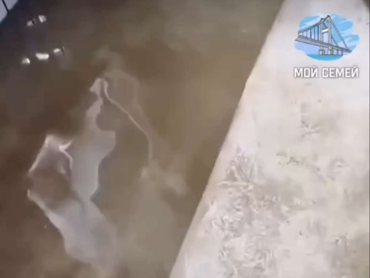 Фото: видео скриншот