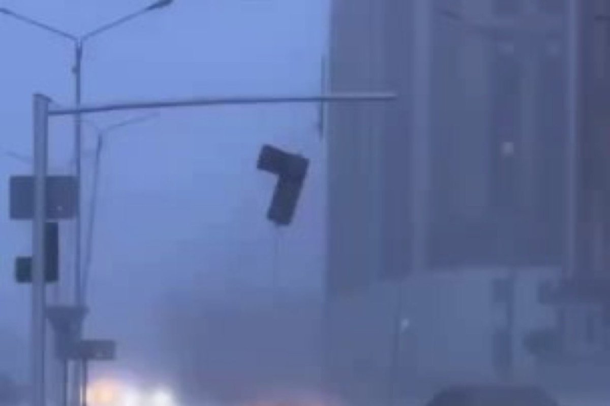 Фото: видеодан скрин