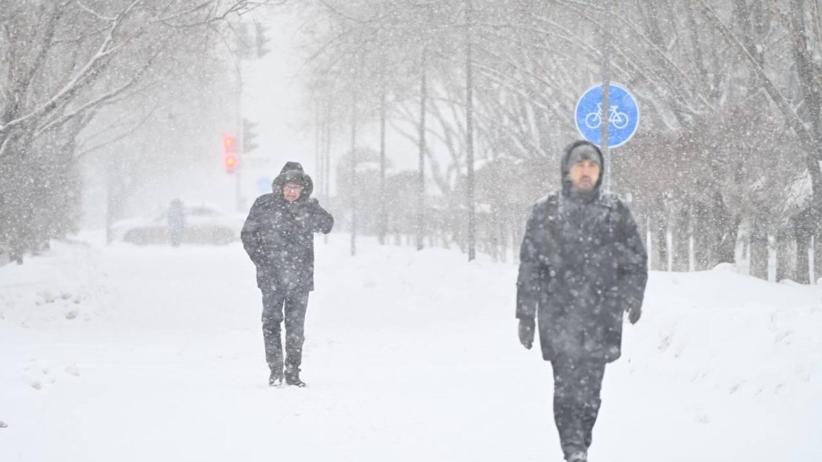 Фото: Sputnik / Санат Имангалиев