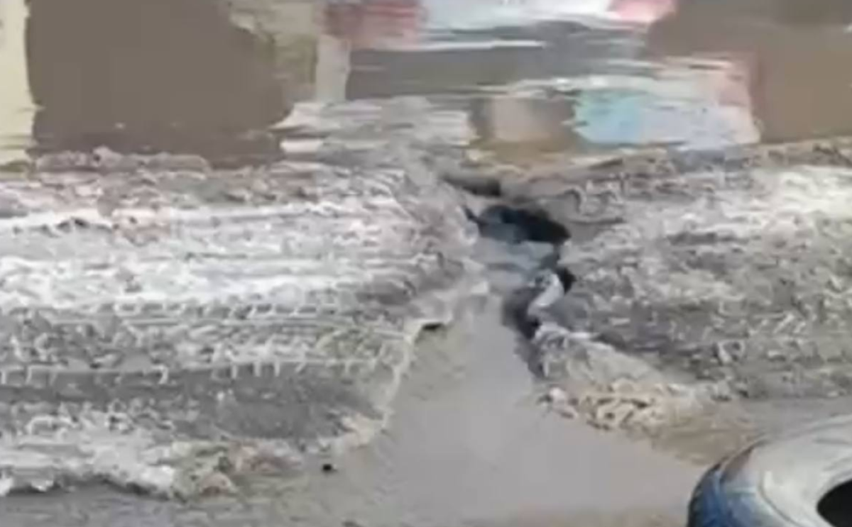 Фото: видеодан скрин