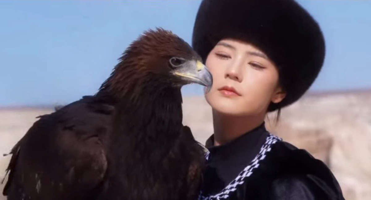 Фото: видеодан скрин