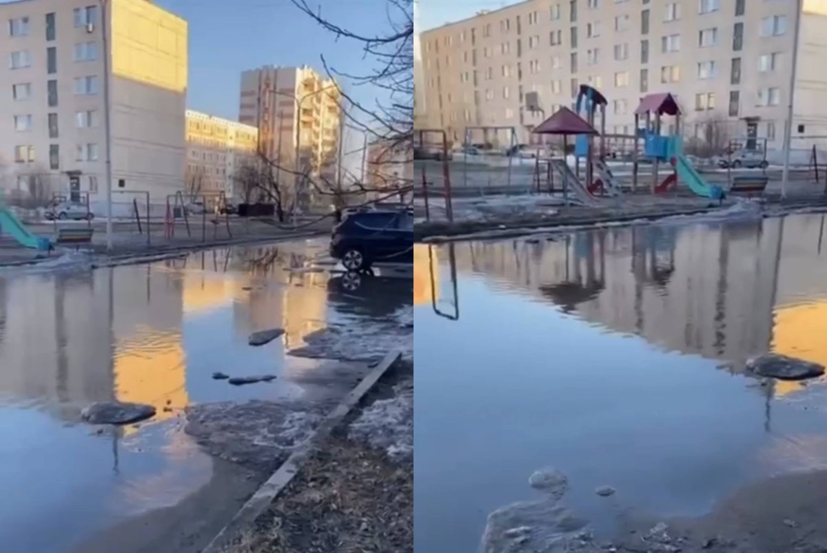 Фото: видеодан скриншот