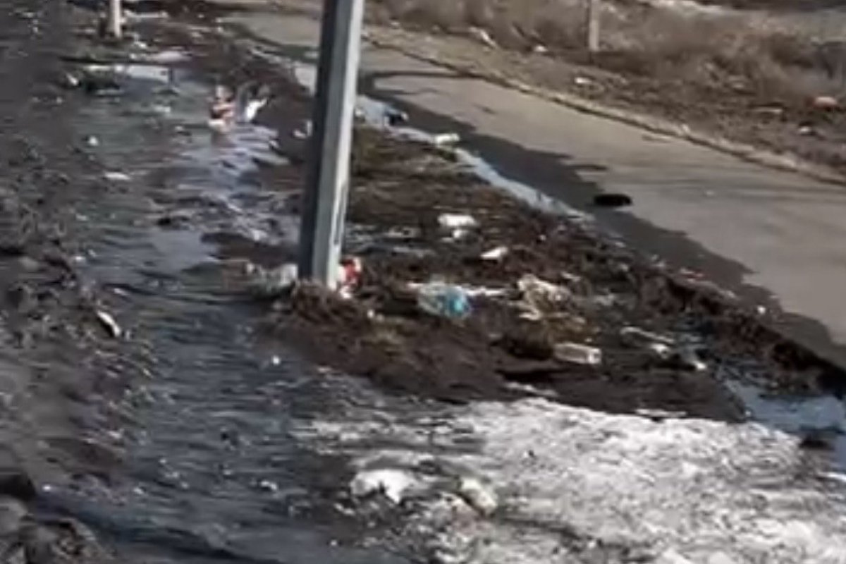 Фото: видеодан скрин