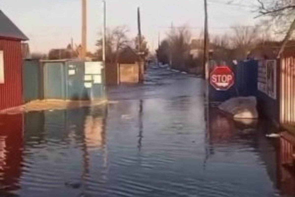 Фото: видеодан скрин