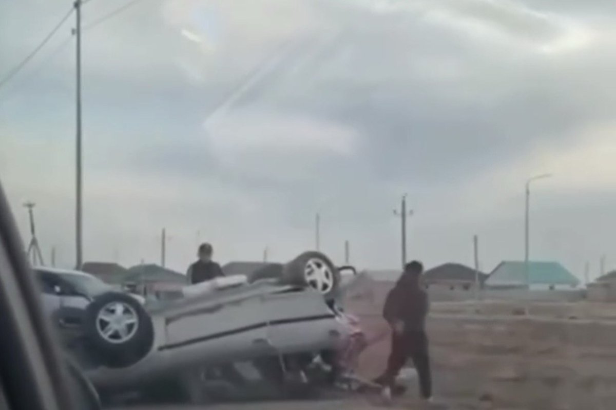 Фото: видеодан скрин