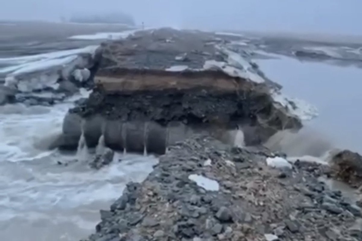 Фото: видеодан скрин