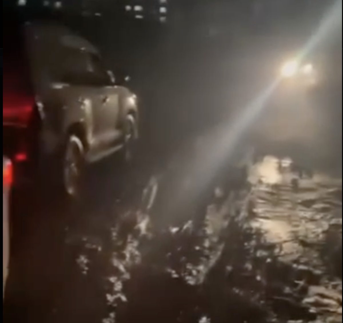 Фото: видео скриншот