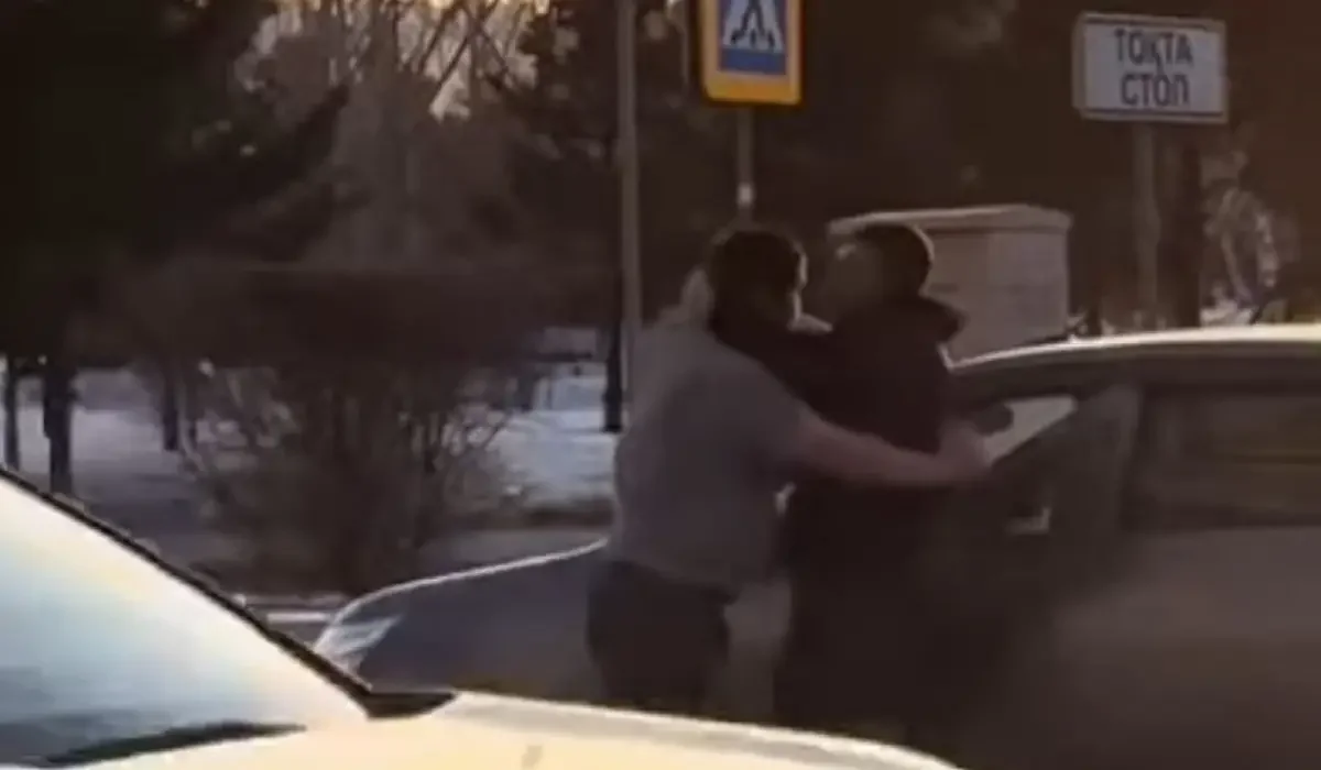 Фото: видеодан скриншот