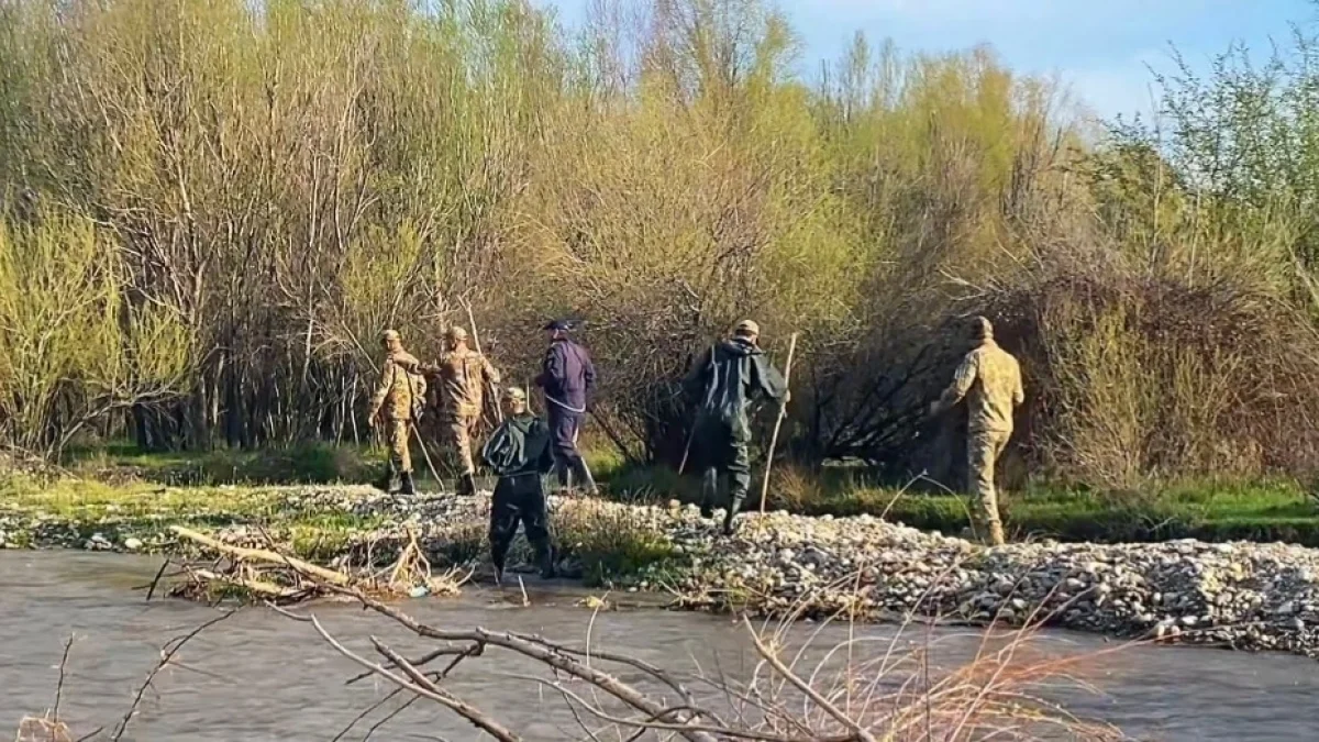 Фото: видео скриншот