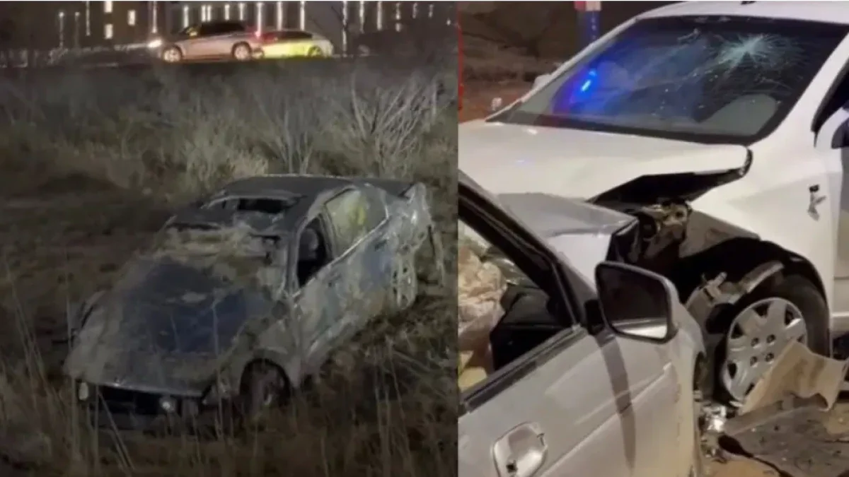 Фото: видеодан скриншот