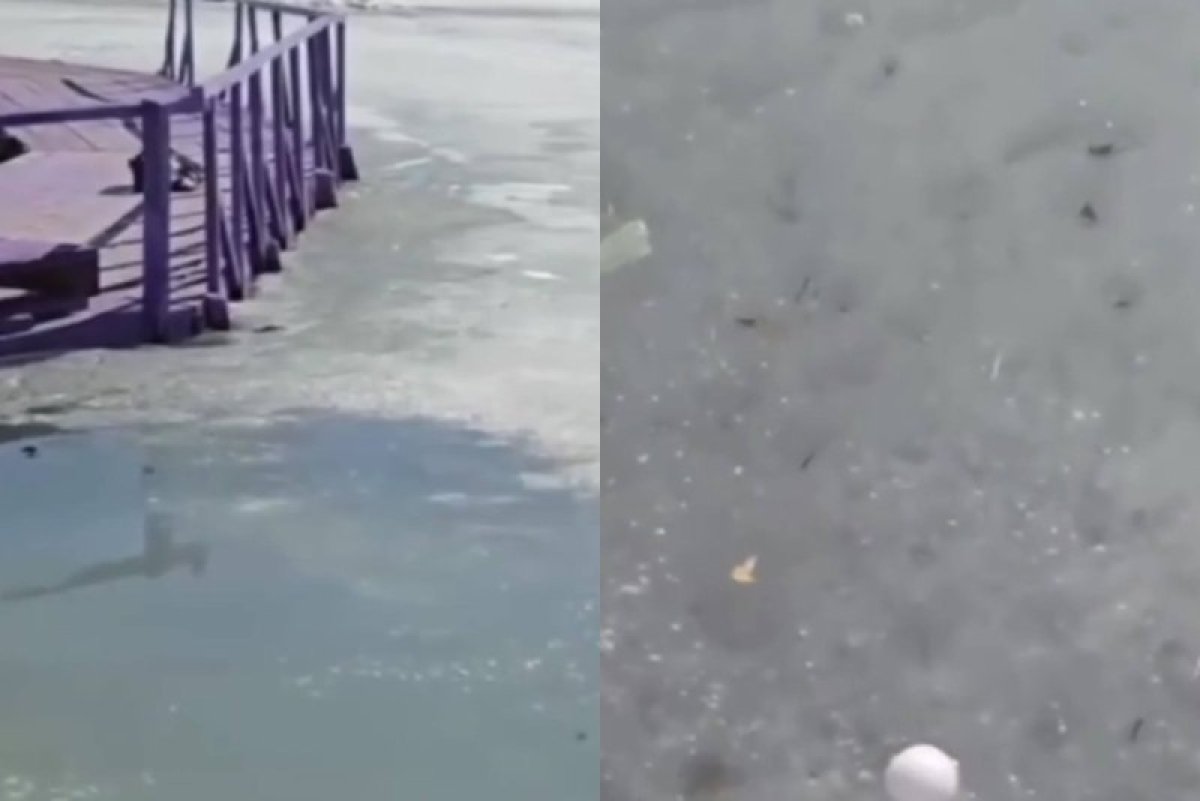 Фото: видеодан скриншот