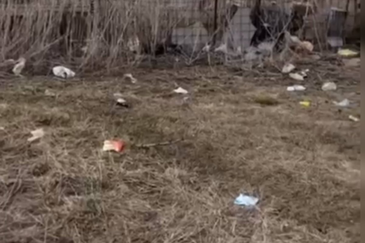 Фото: видеодан скриншот