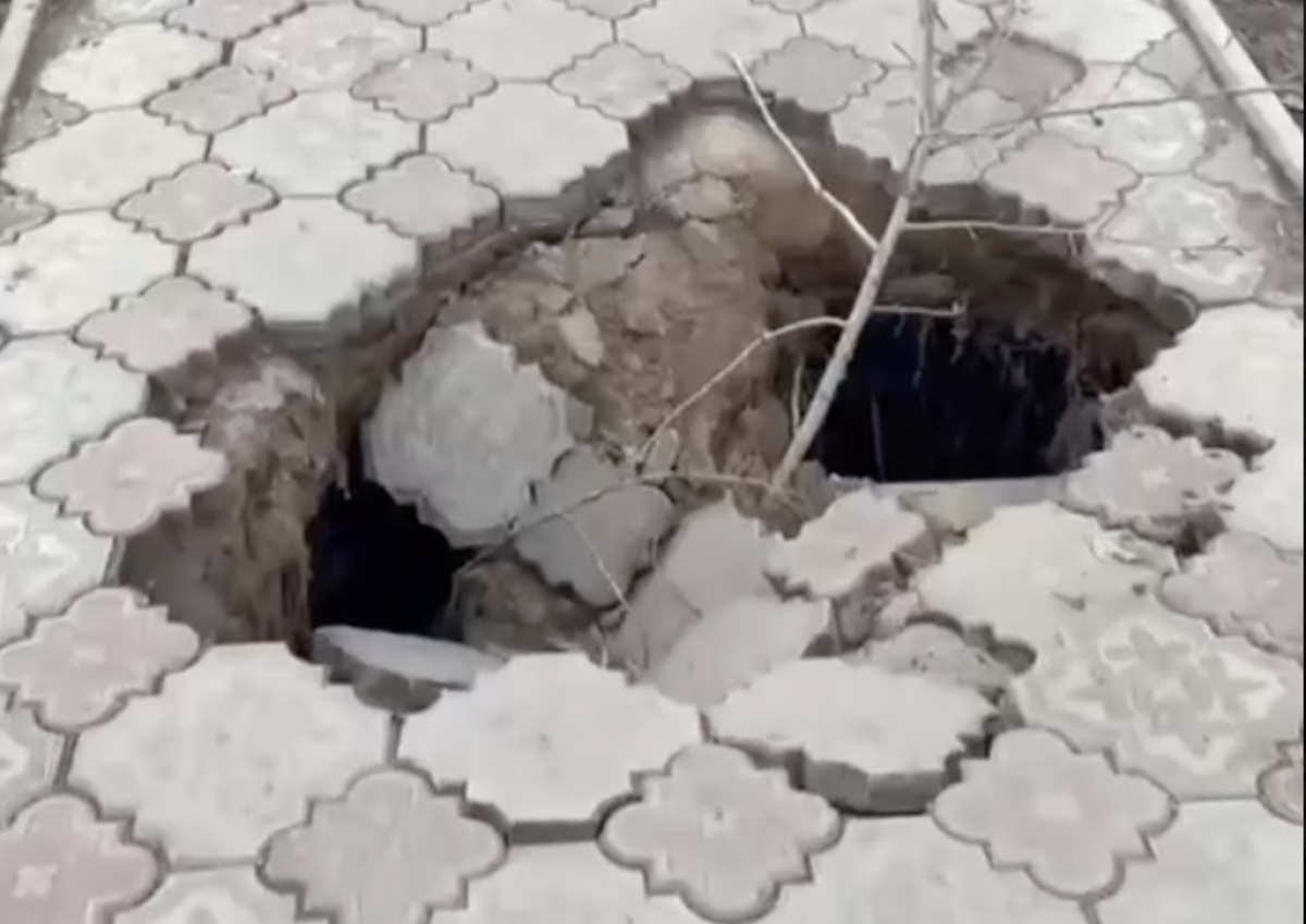 Фото: видео скриншот