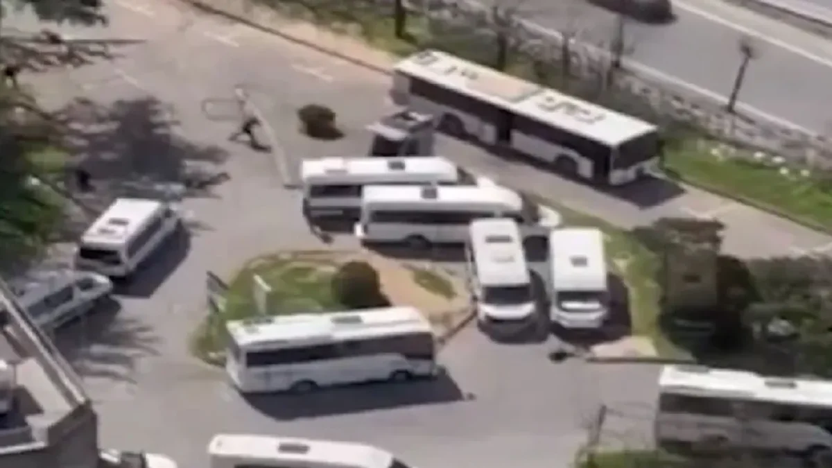 Фото: видеодан скриншот