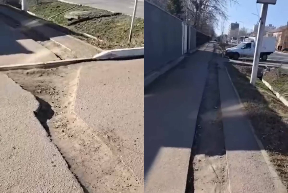 Фото: видеодан скриншот