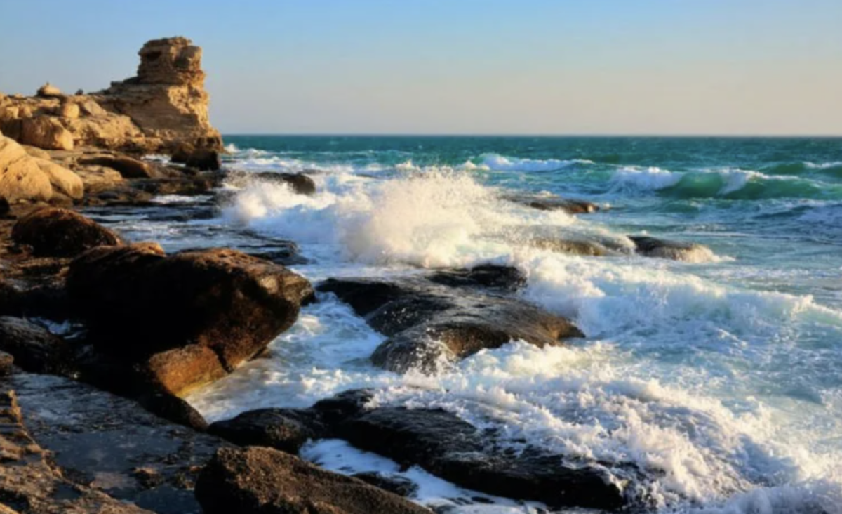 Фото: scientificrussia.ru