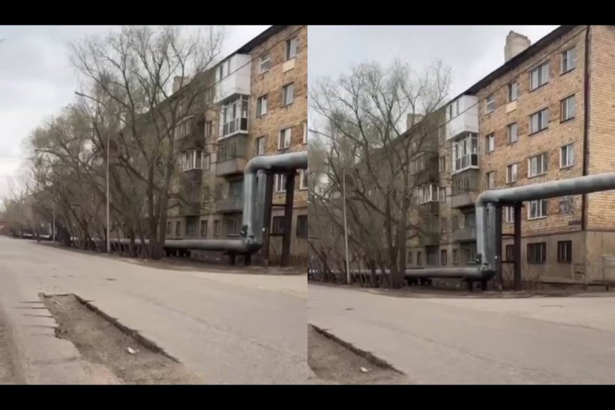 Фото: видеодан скрин