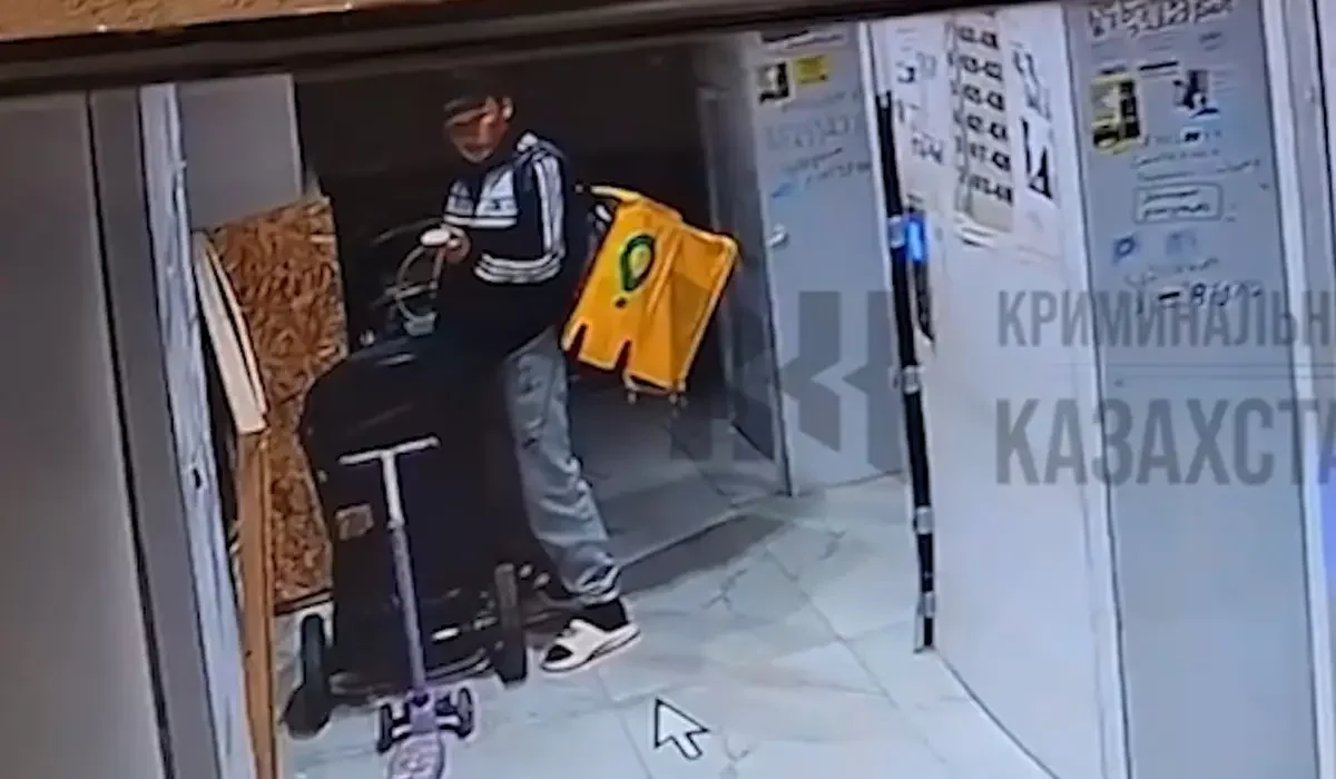 Фото: видеодан скриншот