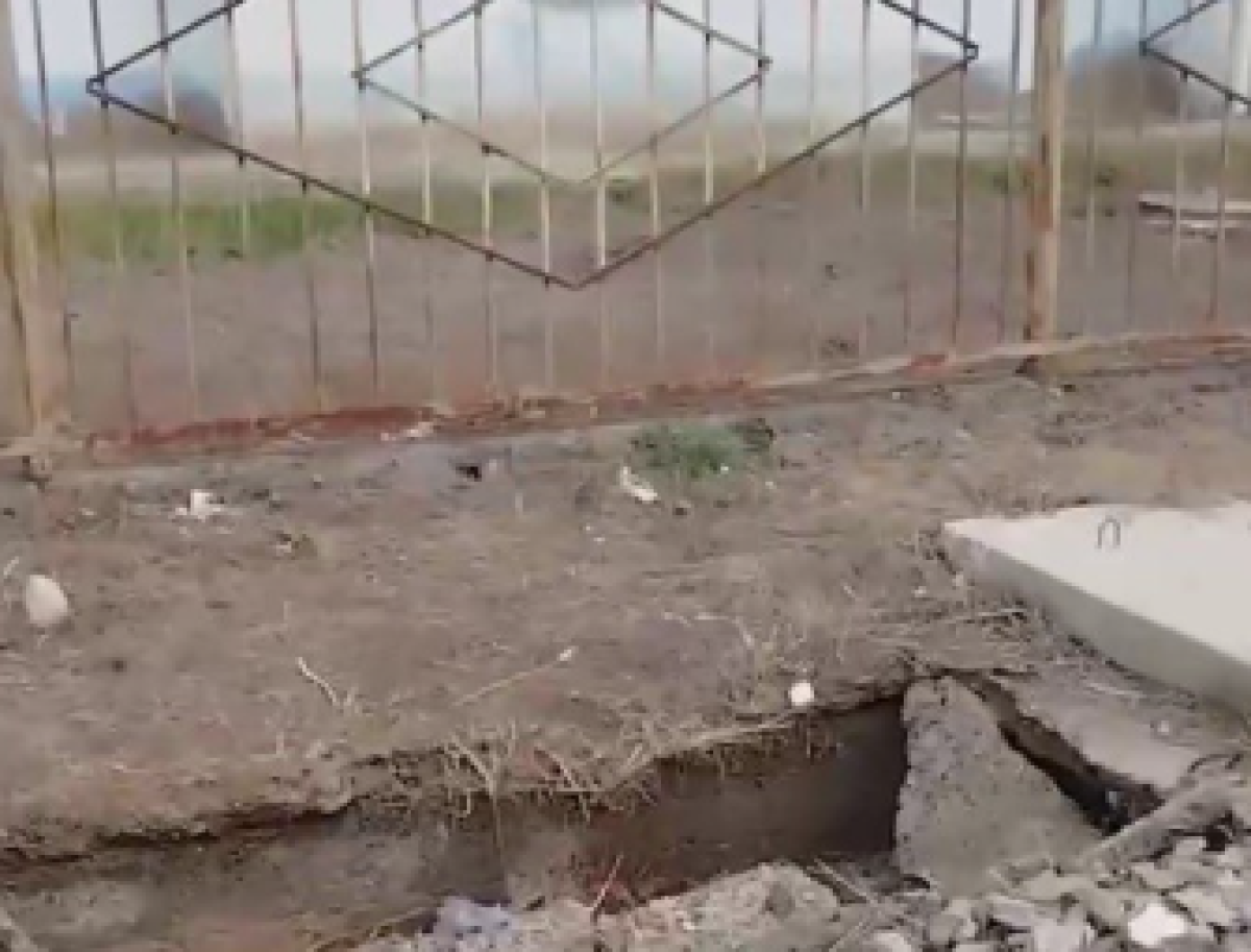 Фото: видеодан скрин