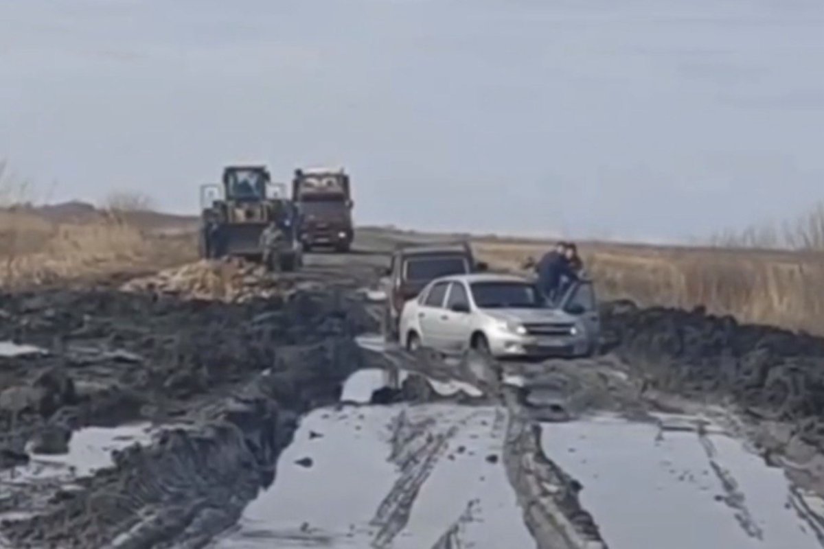 Фото: видеодан скрин