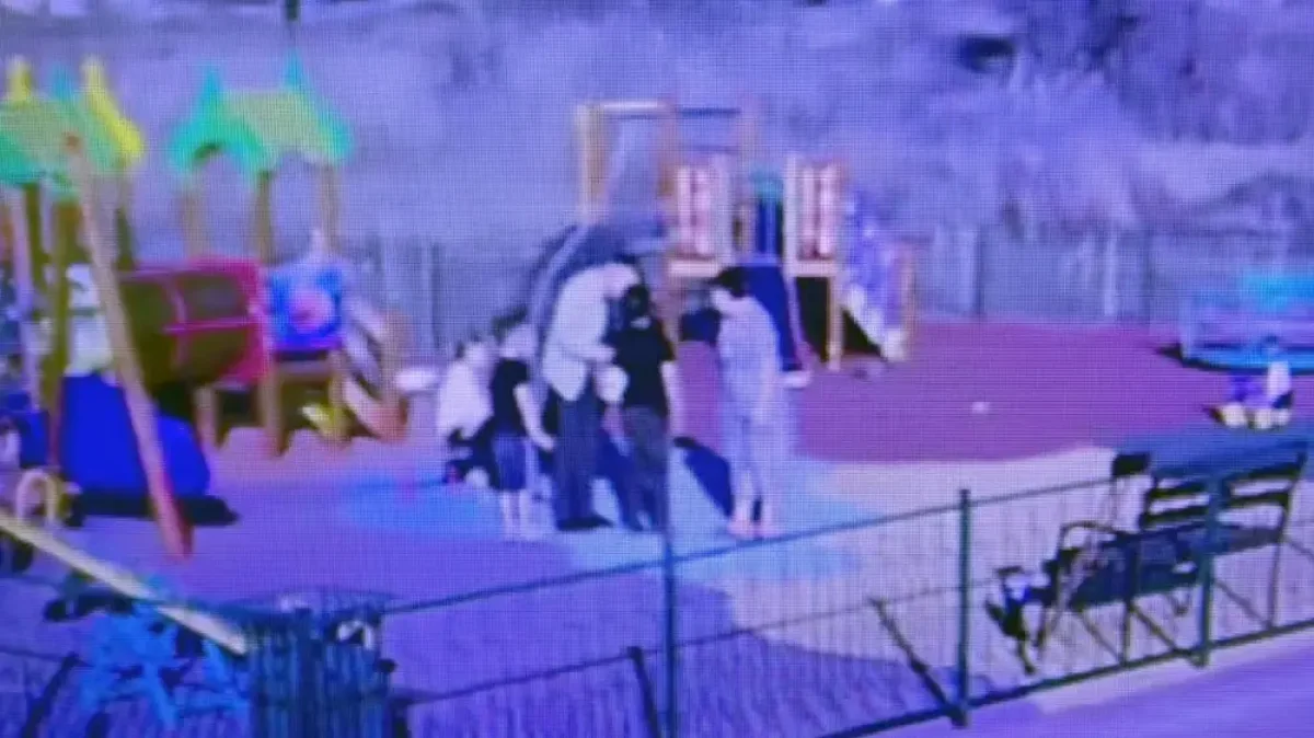 Фото: видеодан скриншот