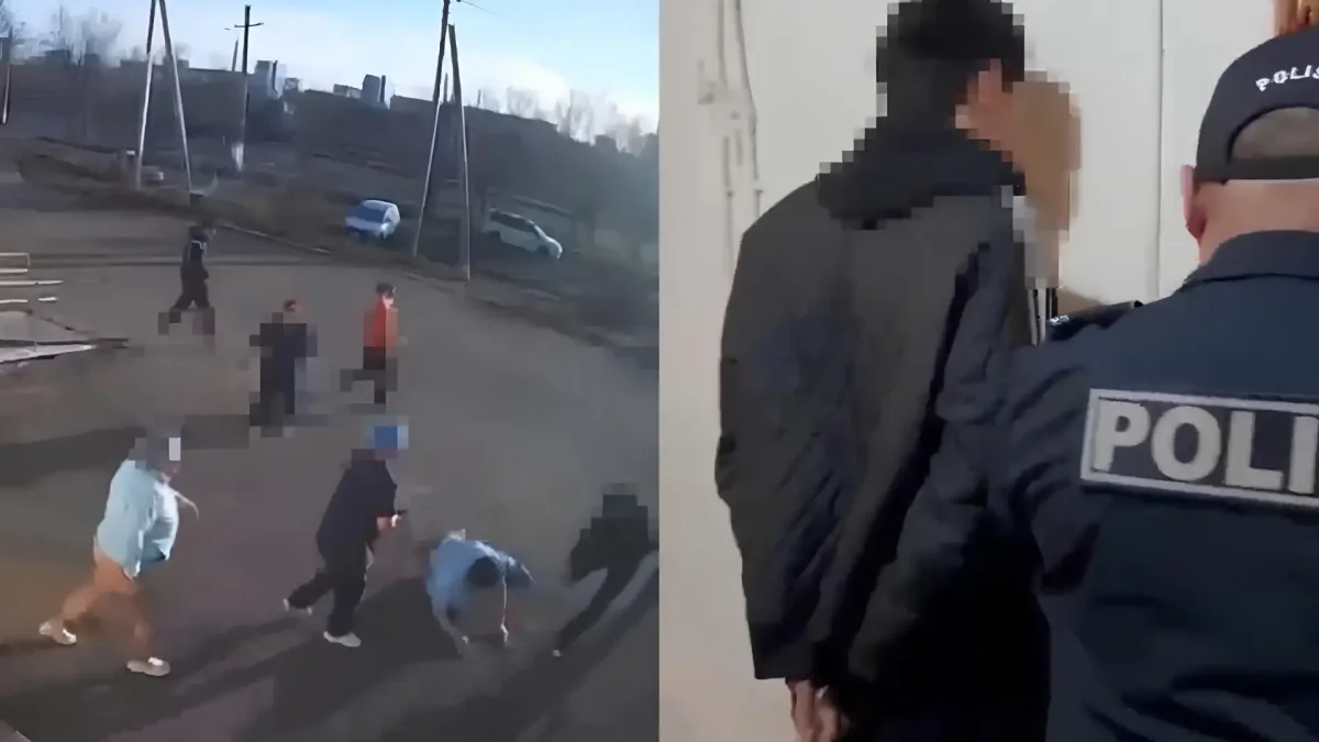 Фото: видеодан скриншот