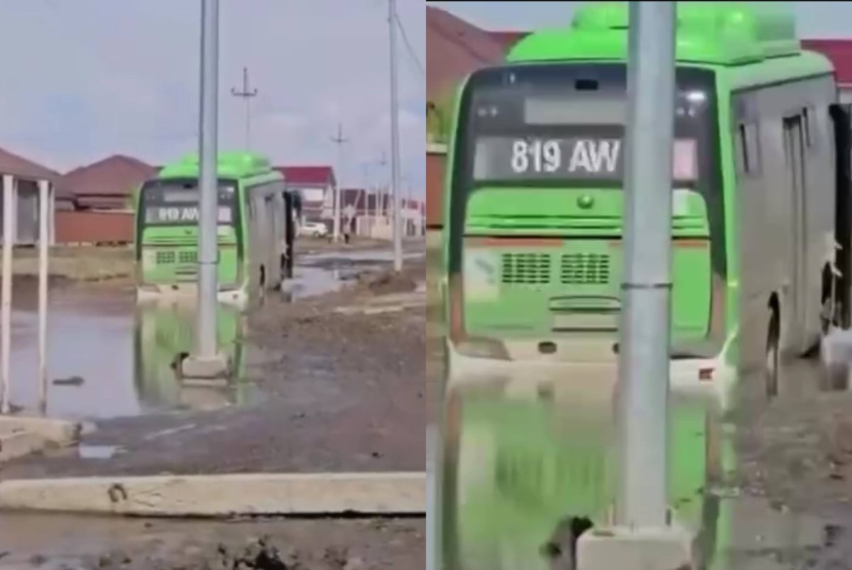 Фото: видеодан скриншот