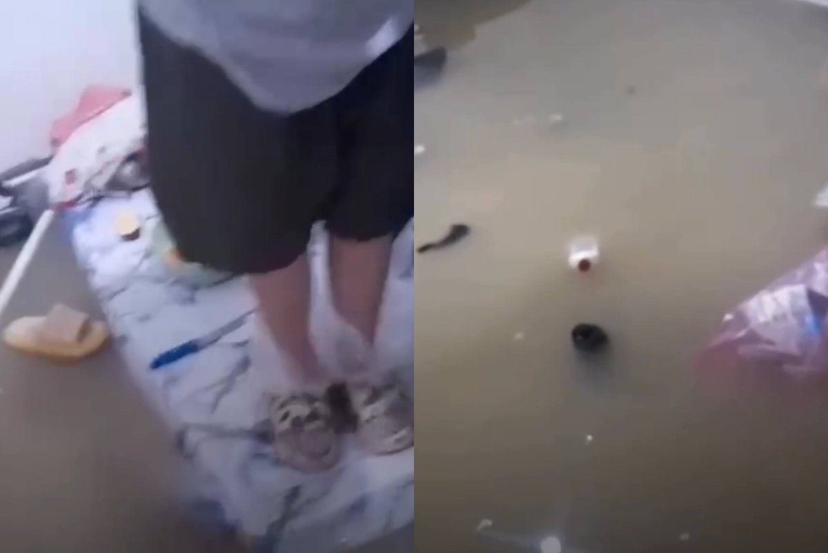 Фото: видеодан скриншот