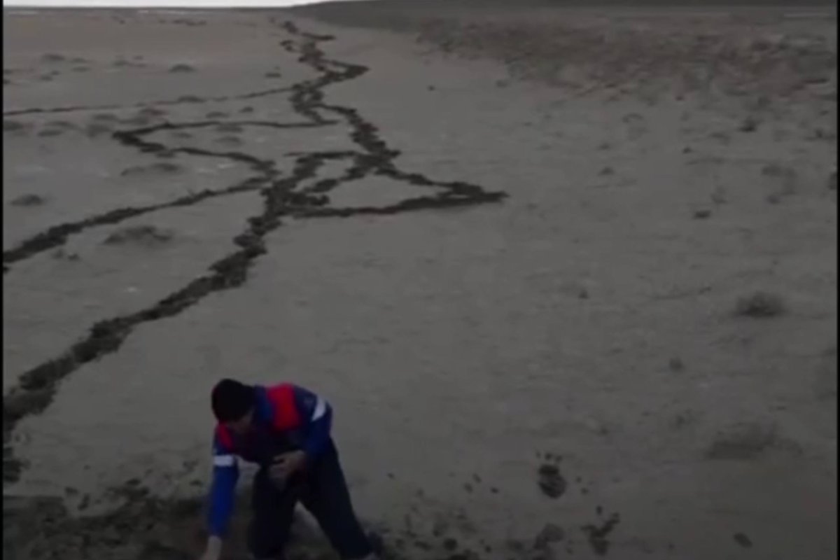 Фото: видеодан скриншот